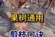 老栀子树的修剪技巧与要点（打造健康美丽的老栀子树——修剪的艺术与方法）