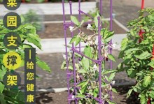 金鸡菊种植指南（打造美丽的金鸡菊花园，一起来搭建架子吧！）