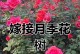 树月季养殖方法和注意事项（打造优美的树月季花园，全面掌握种植技巧）