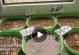 如何种植优质的柴胡（种植时间、种子选择和肥料施用技巧）