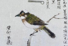 如何让白头翁不怕人——培养亲近人类的技巧（让白头翁与人类建立友好关系的关键是什么？）