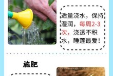 花土的培育技巧（打造养花专用土壤，为花儿提供最佳生长环境）