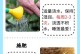 花土的培育技巧（打造养花专用土壤，为花儿提供最佳生长环境）