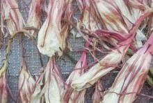 昙花煮汤的益处与烹饪方法（探秘昙花煮汤，品味健康与美味）