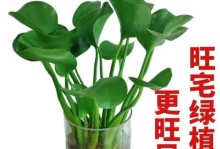 打造舒适客厅的绿色角落（以水培植物装点客厅，缔造自然之美）