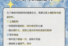 玛格丽特花的养殖方法（从选种到管理，全面掌握）