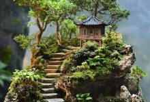 苔藓的保存方法及注意事项（保护苔藓，享受绿色的美好）