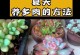 多肉植物施肥指南（掌握合理施肥技巧，助您打造多肉盛景）