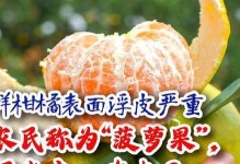 菠萝果期养护与管理（果期长短与种植技巧）