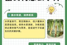 如何正确施肥养护富贵竹（富贵竹肥料施用指南及注意事项）
