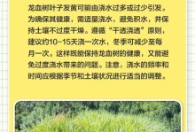龙须树叶子脏了怎么办？护叶小妙招大公开（清洁龙须树叶子的有效方法，让你的植物焕发生机）