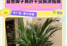 椰子变黄怎么办？（保持椰子的新鲜颜色，尽在这里！）