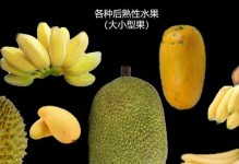 菠萝蜜怎么催熟最快？教你妙招！（最佳方法大揭秘，让你尝到完美的菠萝蜜）