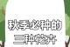 秋季种花的技巧和方法（打造绚丽秋季花园，为秋天增添色彩）