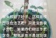 扦插技巧（探秘扦插中的关键环节，让植物顺利生根）