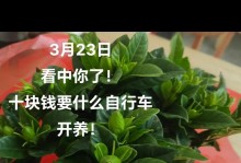 栀子花怎样才能让它开花绽放（教你如何正确照顾栀子花，让它绽放芬芳）