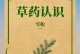 雪松生长控制的方法及关键因素研究（探索有效的雪松生长管理策略，提升林木质量与产量）