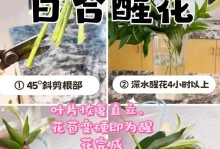 百合花的魅力与剪花技巧（以百合切花，打造独特的花束艺术）