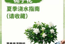 栀子花水黄的症状及应对方法（栀子花水黄的危害及预防措施）