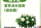 栀子花水黄的症状及应对方法（栀子花水黄的危害及预防措施）