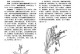 冬天虾掌兰的养殖技巧（打造冬季花园的首选，全年开花的虾掌兰）