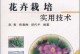 鲜花种植全攻略（打造美丽花园的技巧与经验）