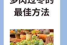 多肉怎么控养又胖又肥的妣（打造肥美多肉的控养秘诀）