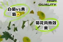 黄金菊的健康功效（探究黄金菊的药用价值与饮用方法）