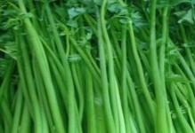 这些蔬菜和芹菜长得很像！（探寻蔬菜界的“双胞胎”们）