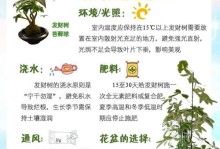 发财树多肉怎么养？教你轻松搞定（发财树多肉养殖方法和注意事项，让你的盆栽更加生机勃勃）
