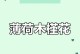 木槿花冬天会不会死？（解析木槿花的耐寒性能，教你应对冬季保养）