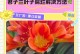 如何处理君子兰叶斑问题（掌握正确的方法，让君子兰恢复健康）