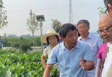 河南大豆播种时间详解（掌握正确的大豆播种时间，迎接高产丰收）