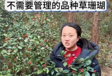 珊瑚养殖的方法及技巧（了解珊瑚养殖的关键步骤与要点）