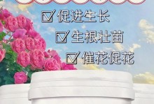 玫瑰花养殖全攻略（以食用玫瑰花为主题的养殖技巧分享）